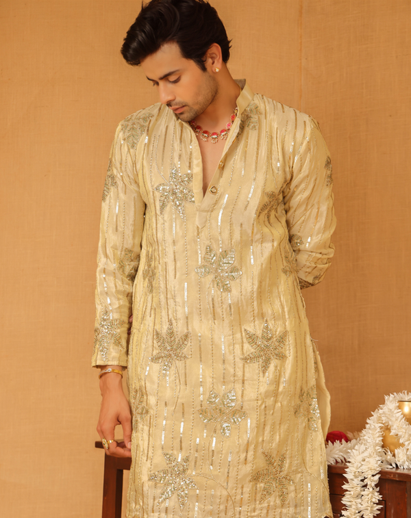 Gulnar Men's Kurta